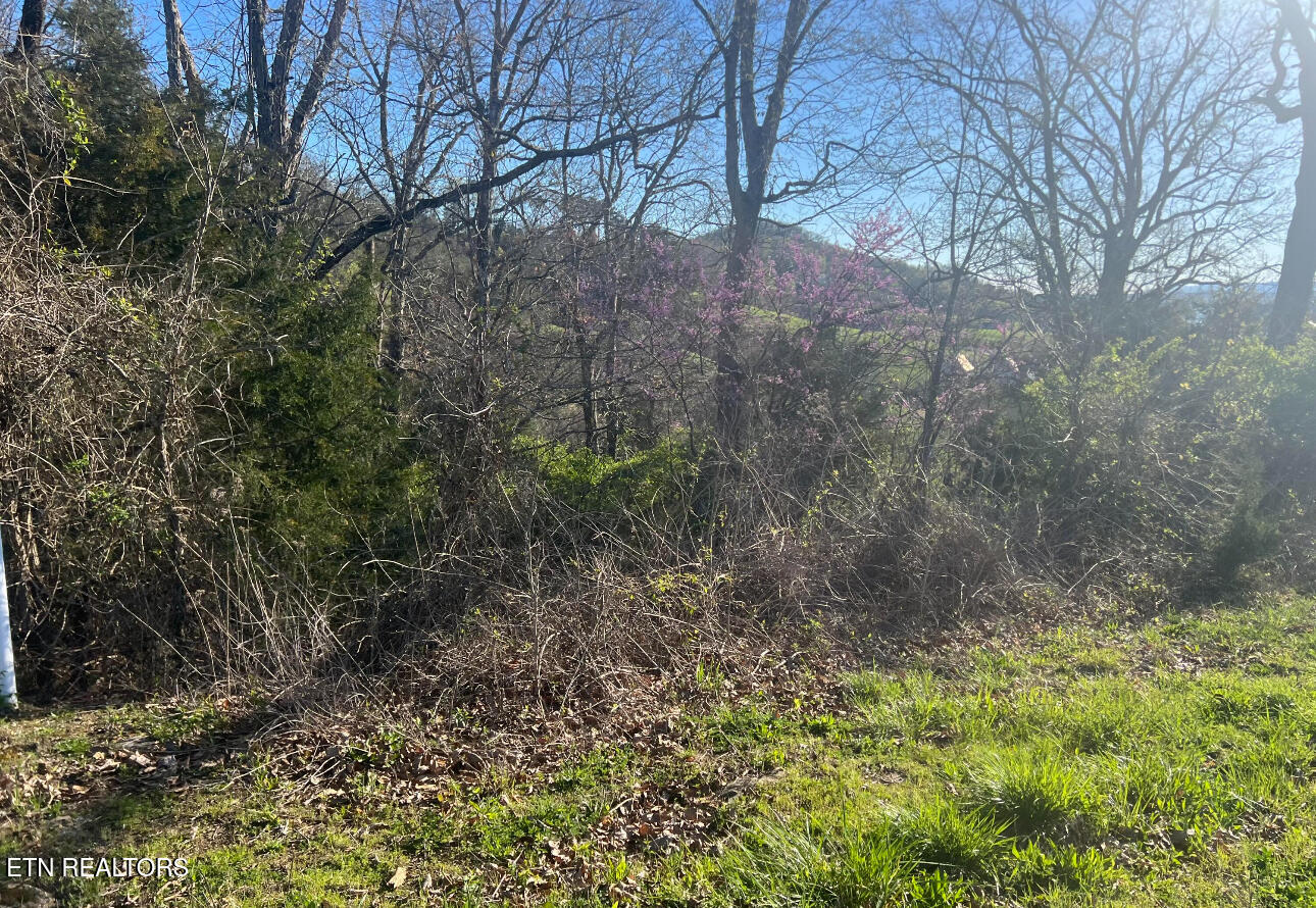 Lot 356r Larayne Hollow Road Sharps Chapel TN 37866
