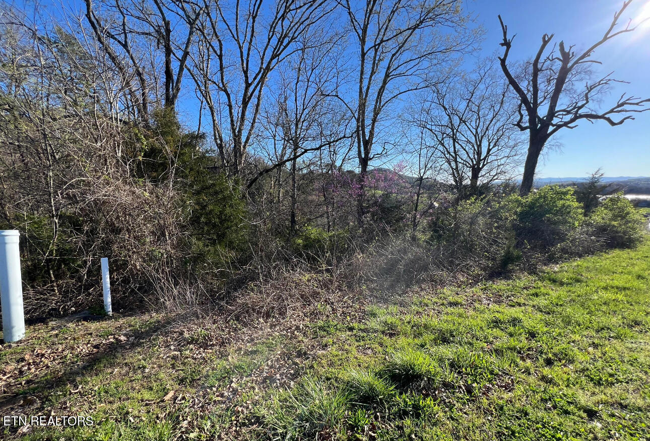 Lot 356r Larayne Hollow Road Sharps Chapel TN 37866