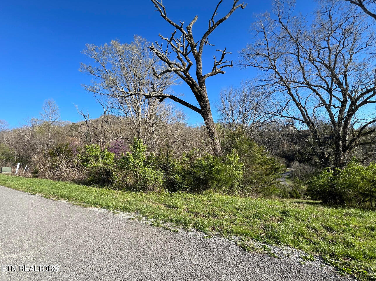 Lot 356r Larayne Hollow Road Sharps Chapel TN 37866