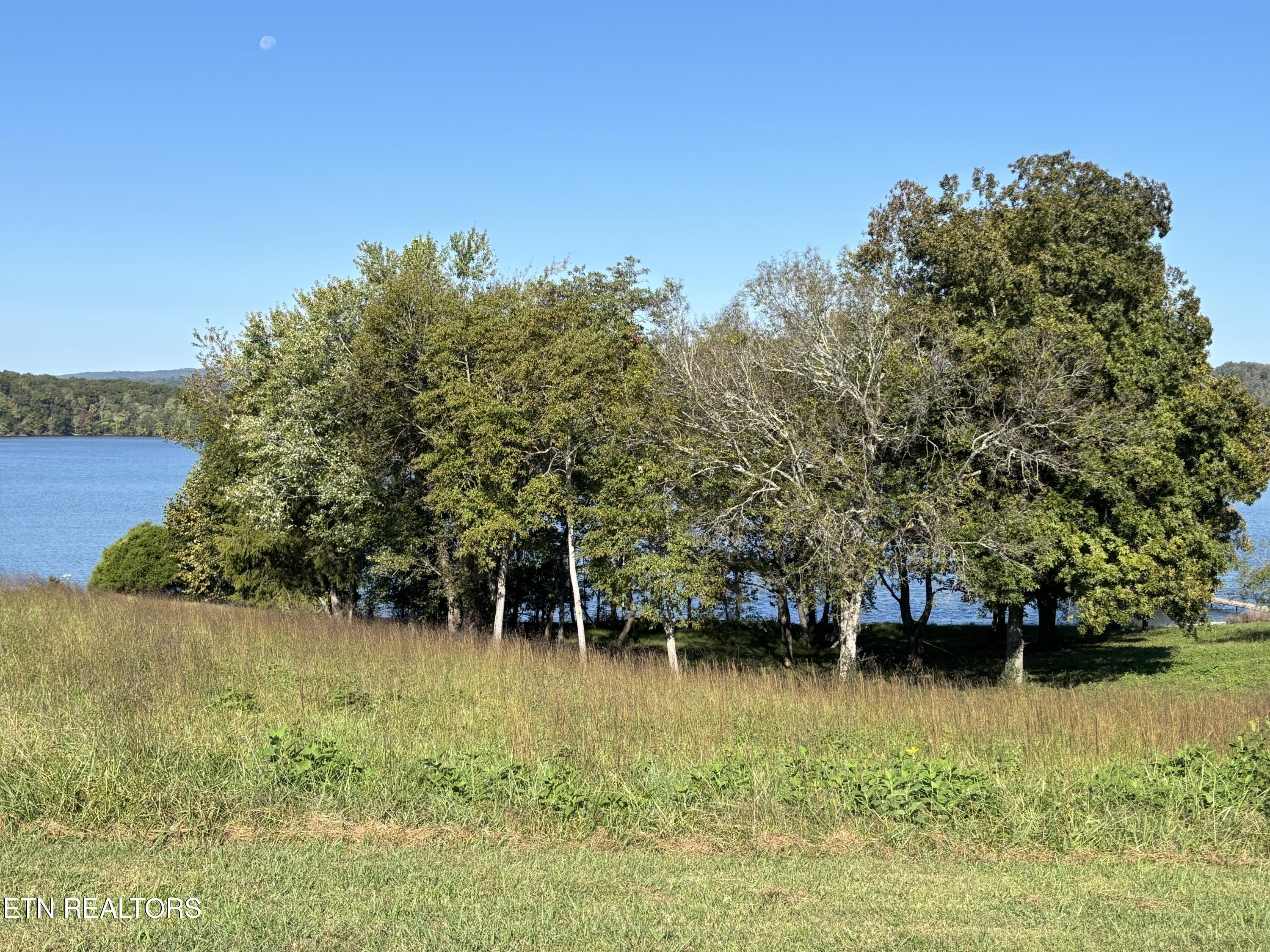 Pointe Vista Drive Rockwood TN 37854
