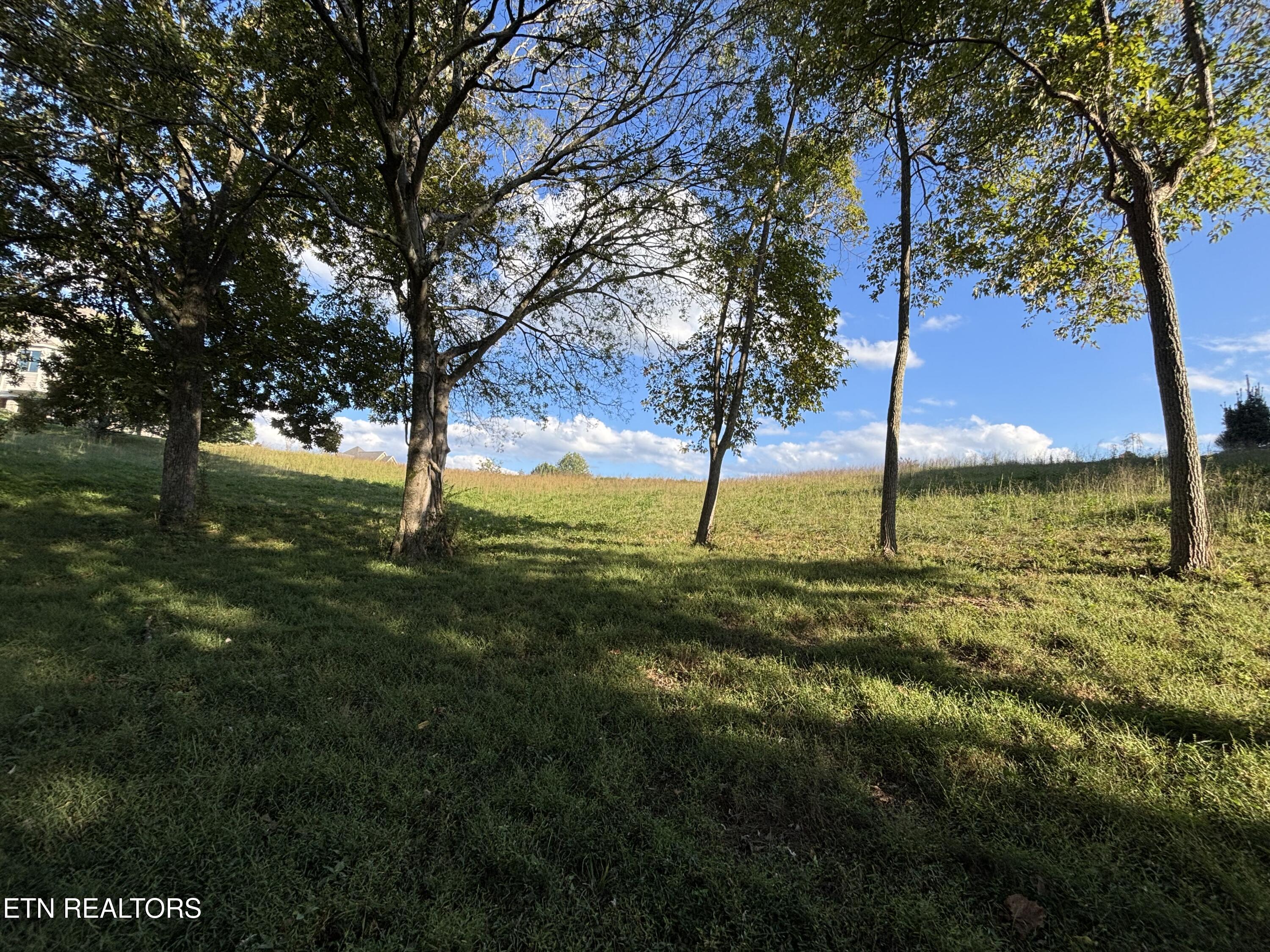 Pointe Vista Drive Rockwood TN 37854