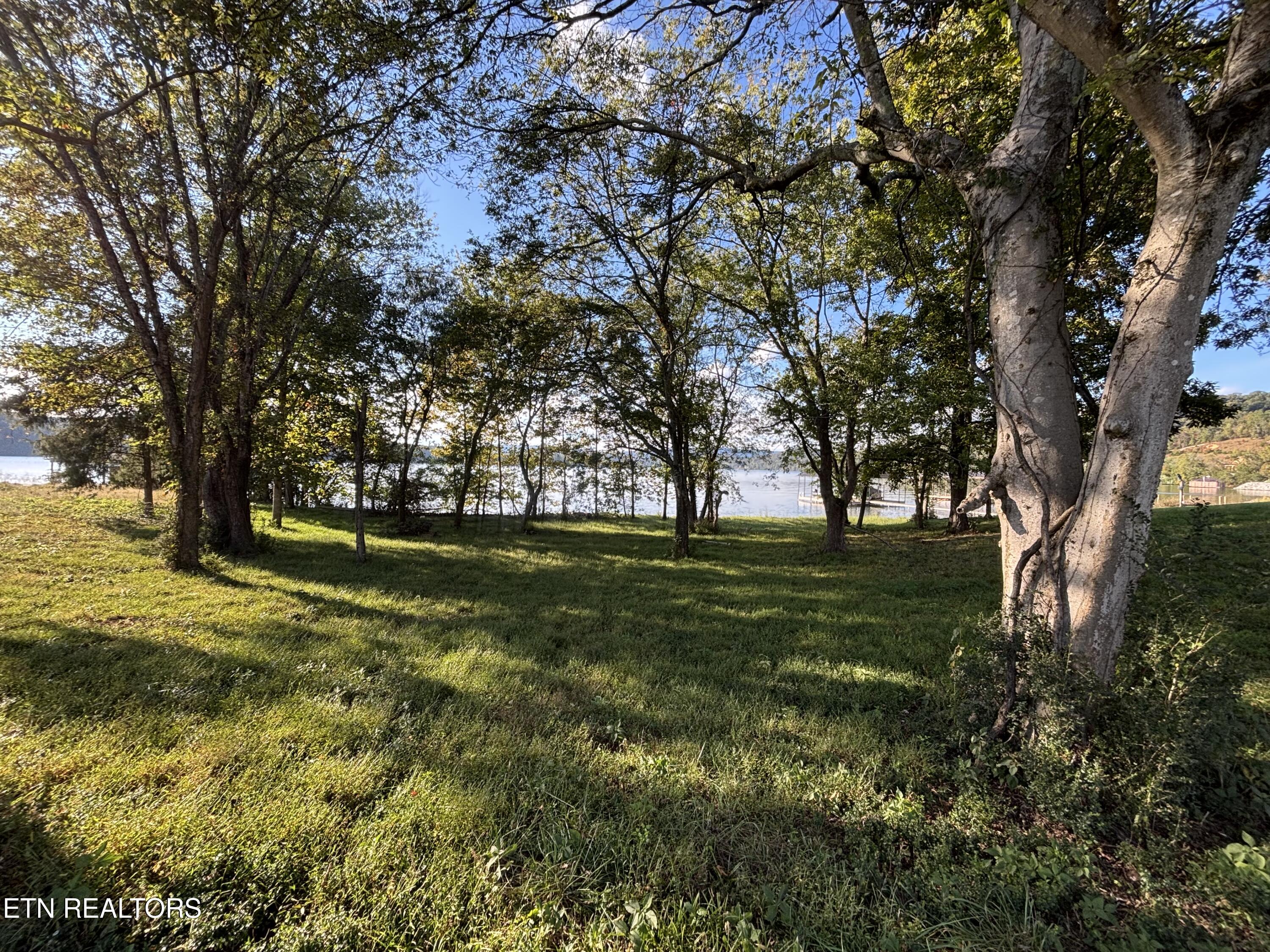 Pointe Vista Drive Rockwood TN 37854