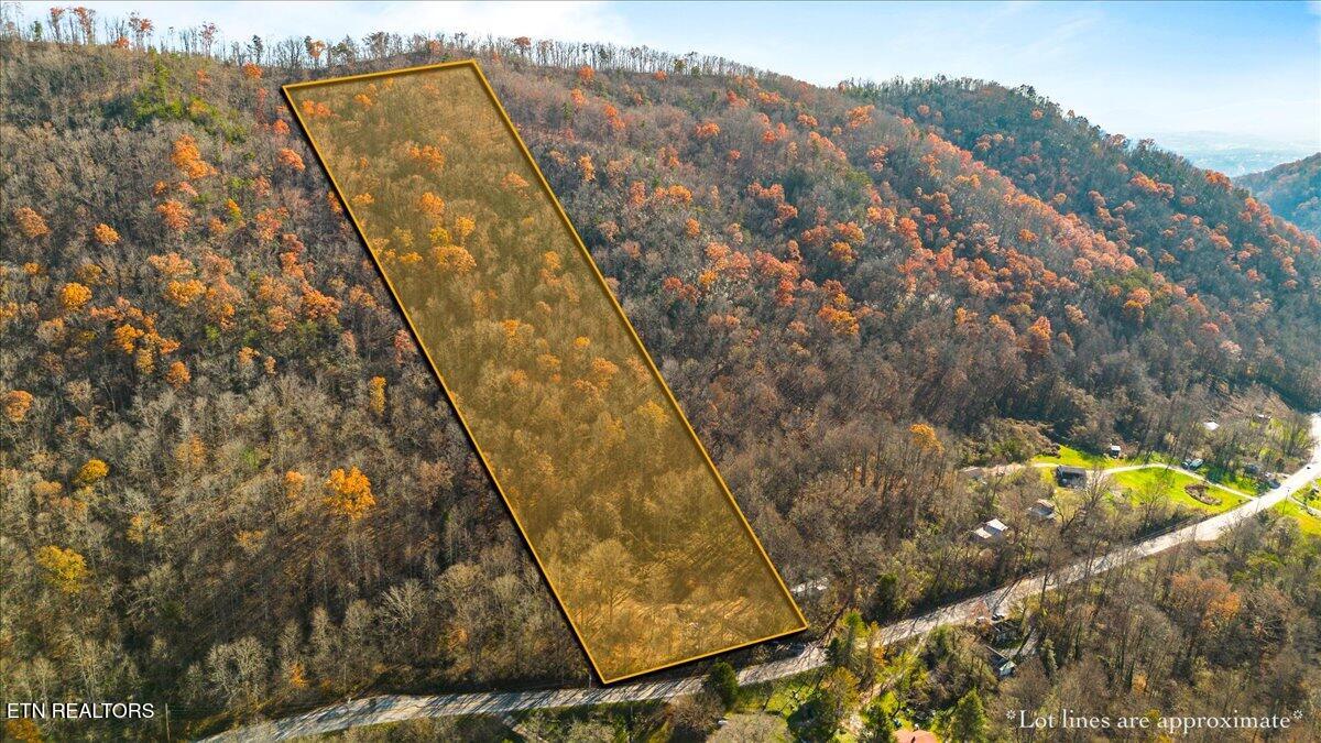 1224 Us 25w Lafollette TN 37766