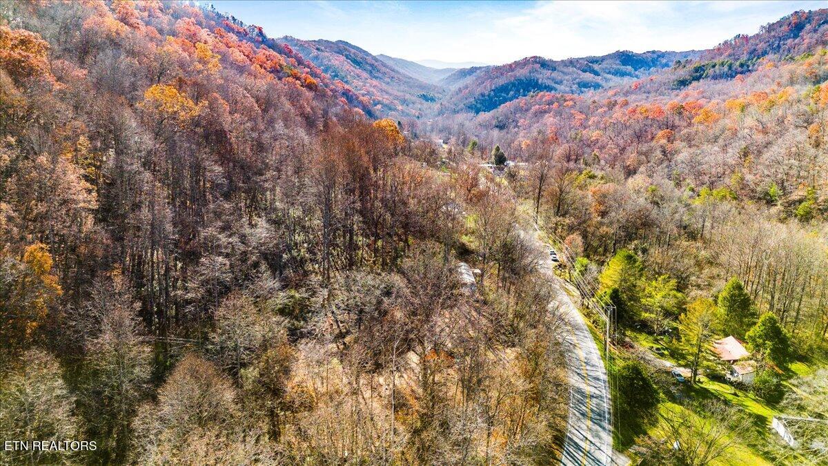 1224 Us 25w Lafollette TN 37766