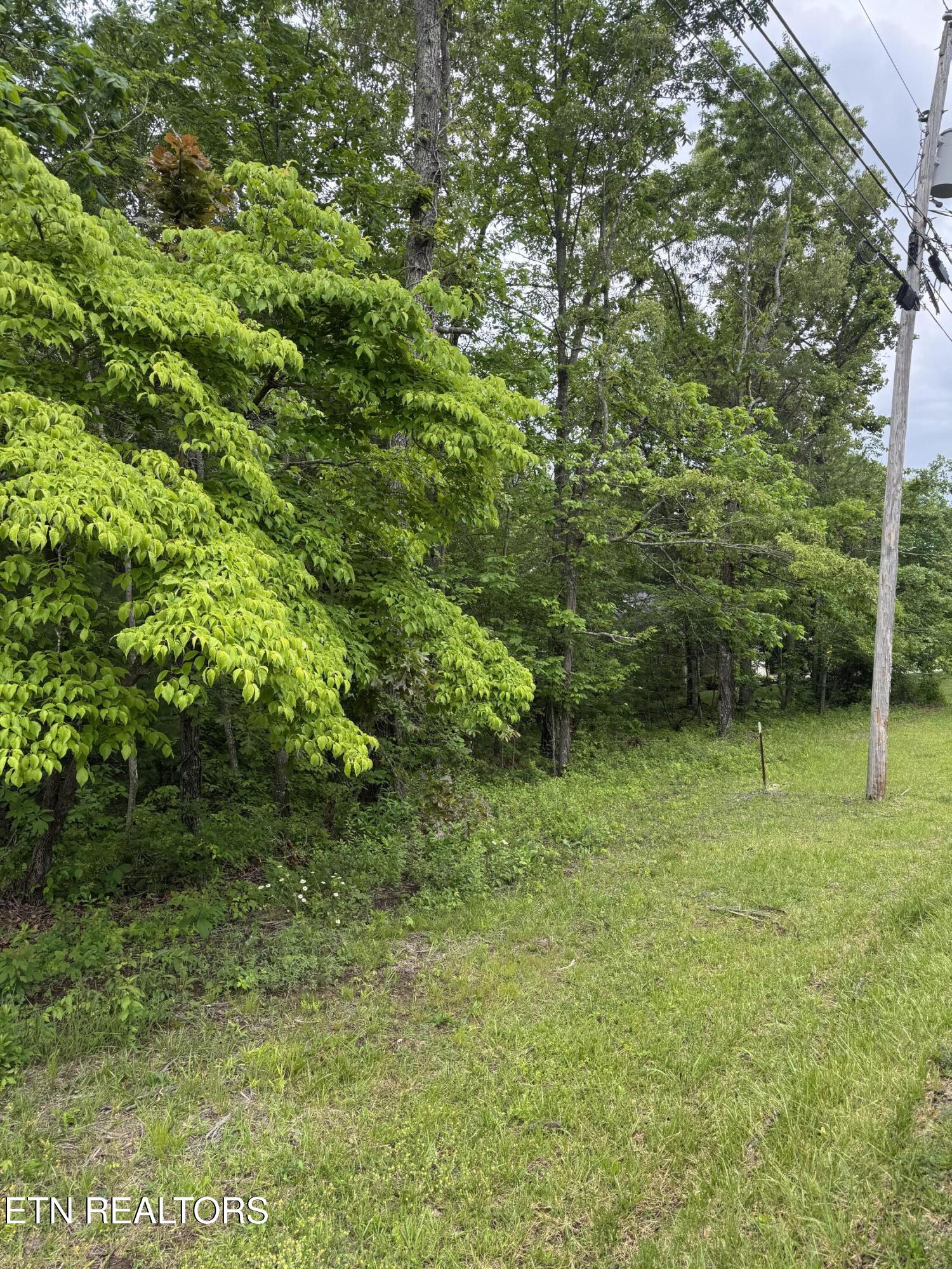 121 Windsor Road Crossville TN 38558