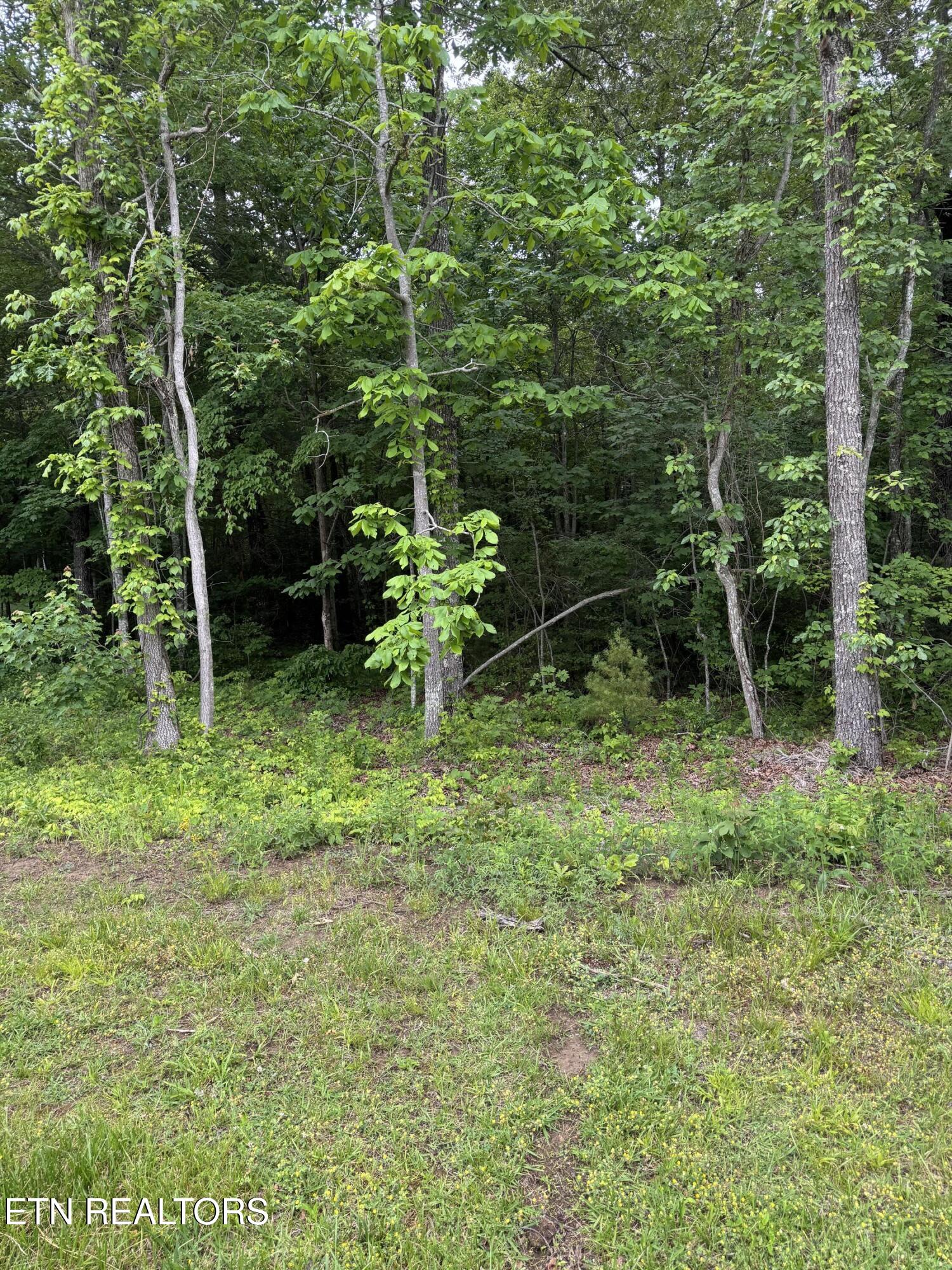 121 Windsor Road Crossville TN 38558