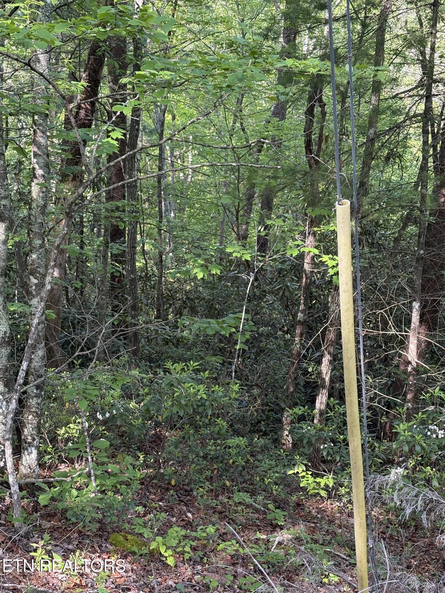 Lot 6 Walnut Flats Road Walland TN 37886