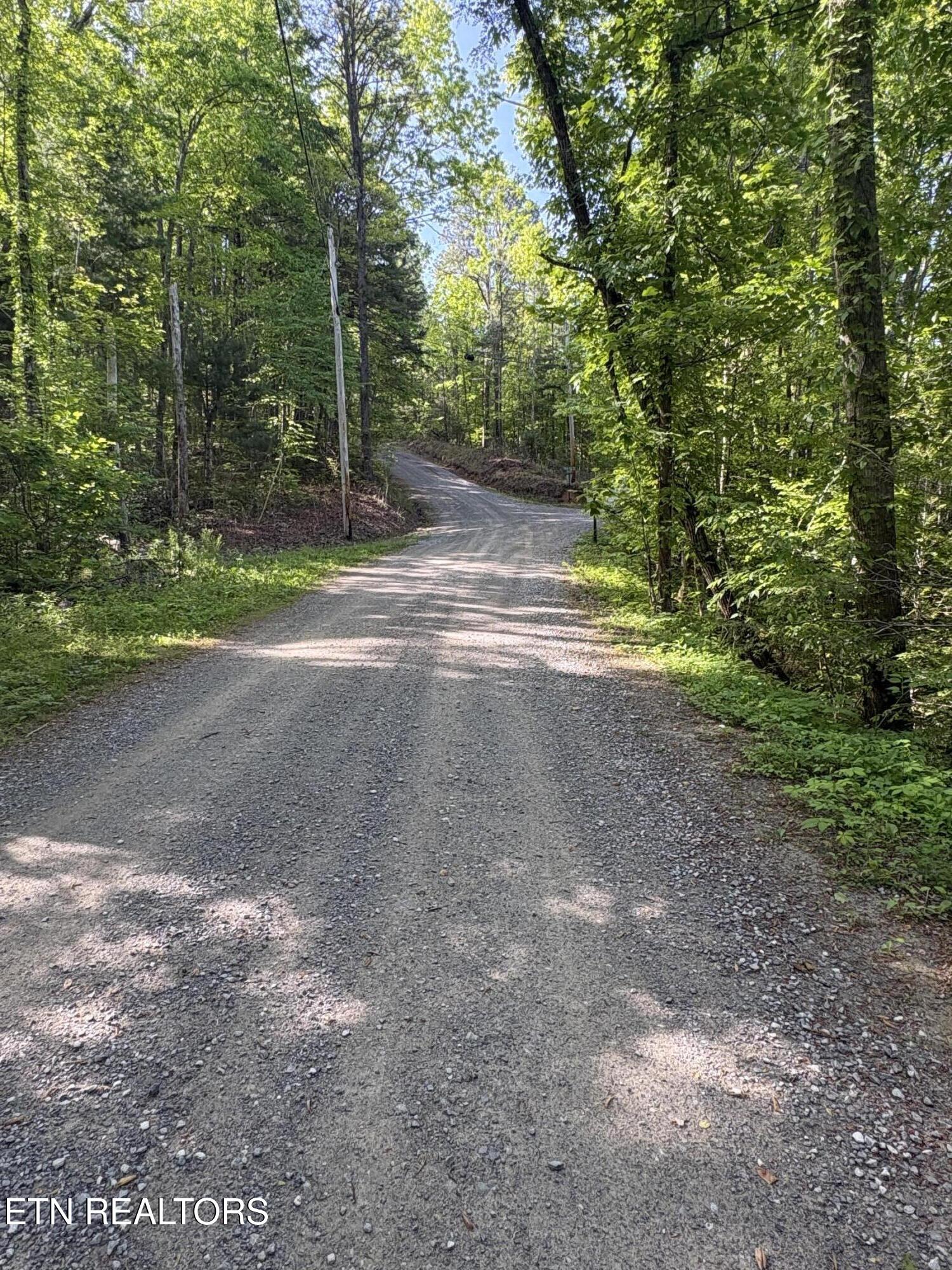 Lot 6 Walnut Flats Road Walland TN 37886