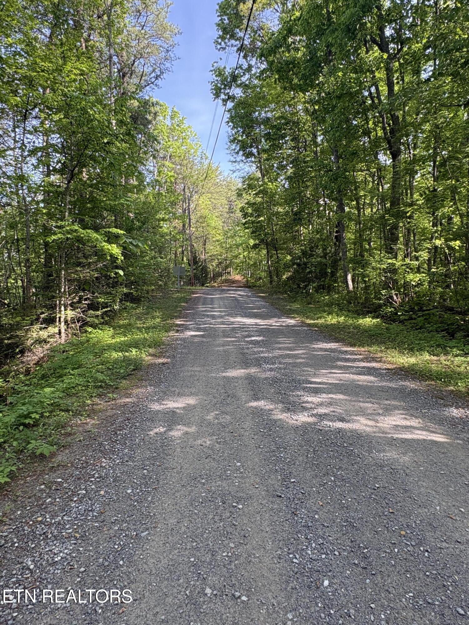 Lot 6 Walnut Flats Road Walland TN 37886