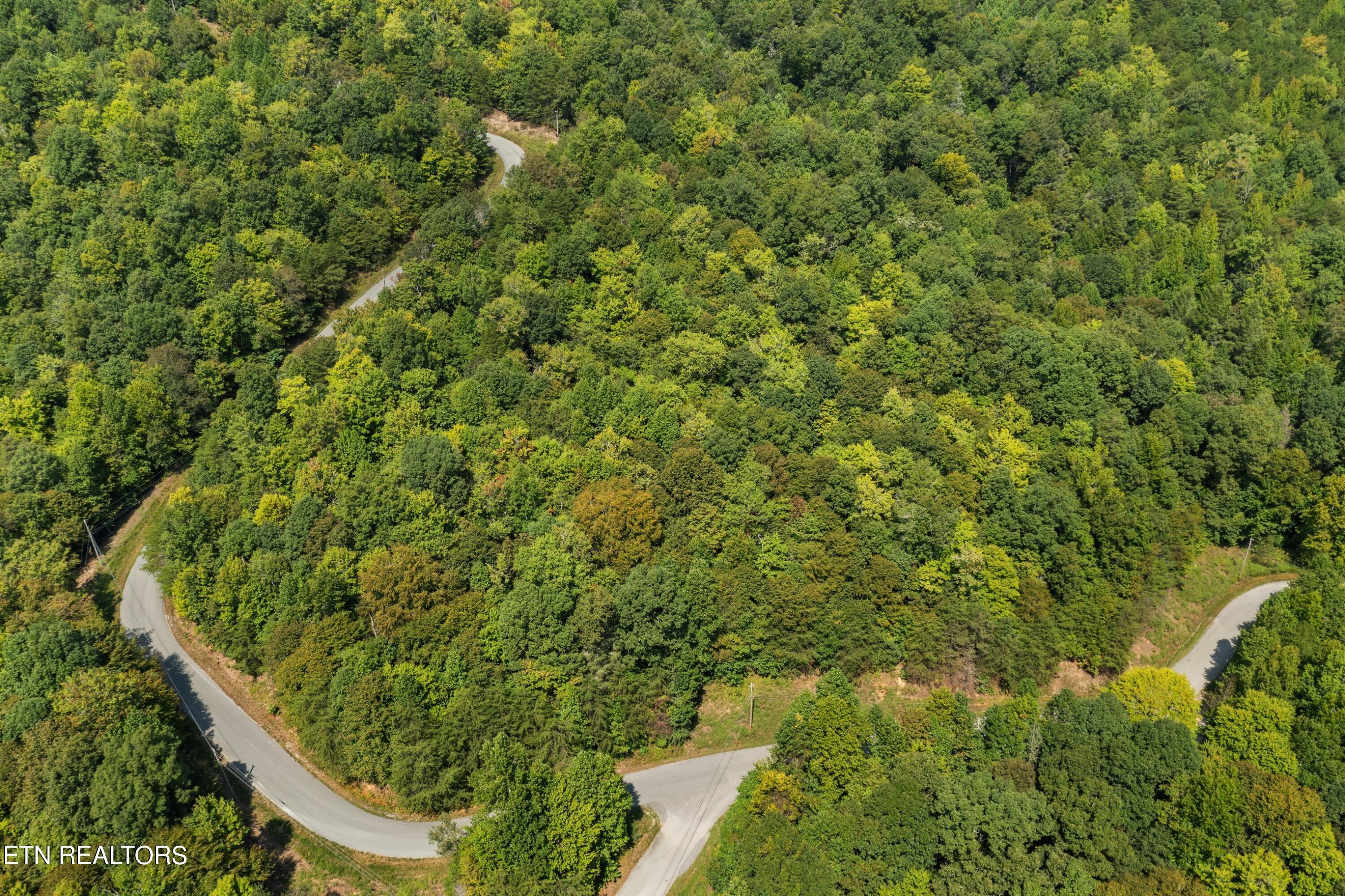 Lot 143 Whistle Valley Road New Tazewell TN 37825