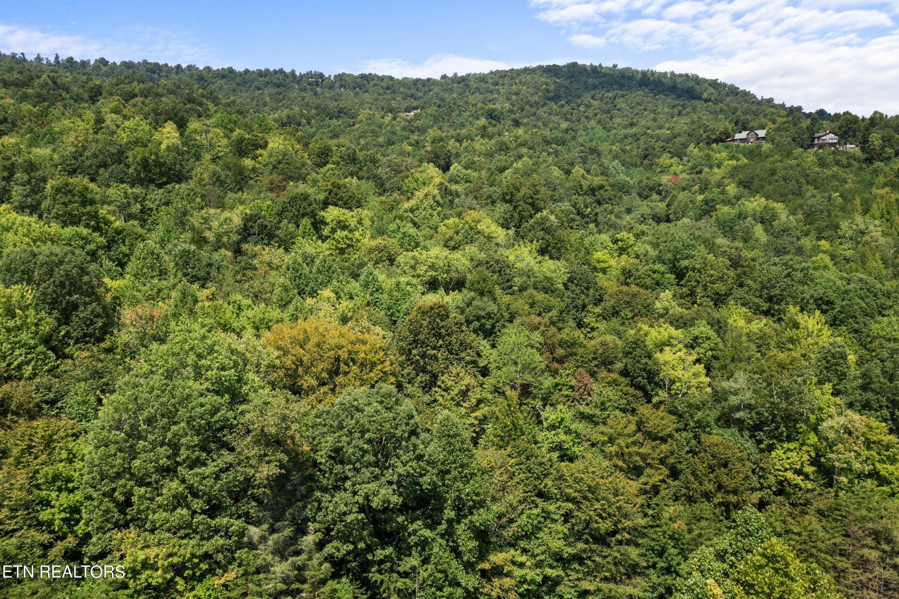 Lot 143 Whistle Valley Road New Tazewell TN 37825