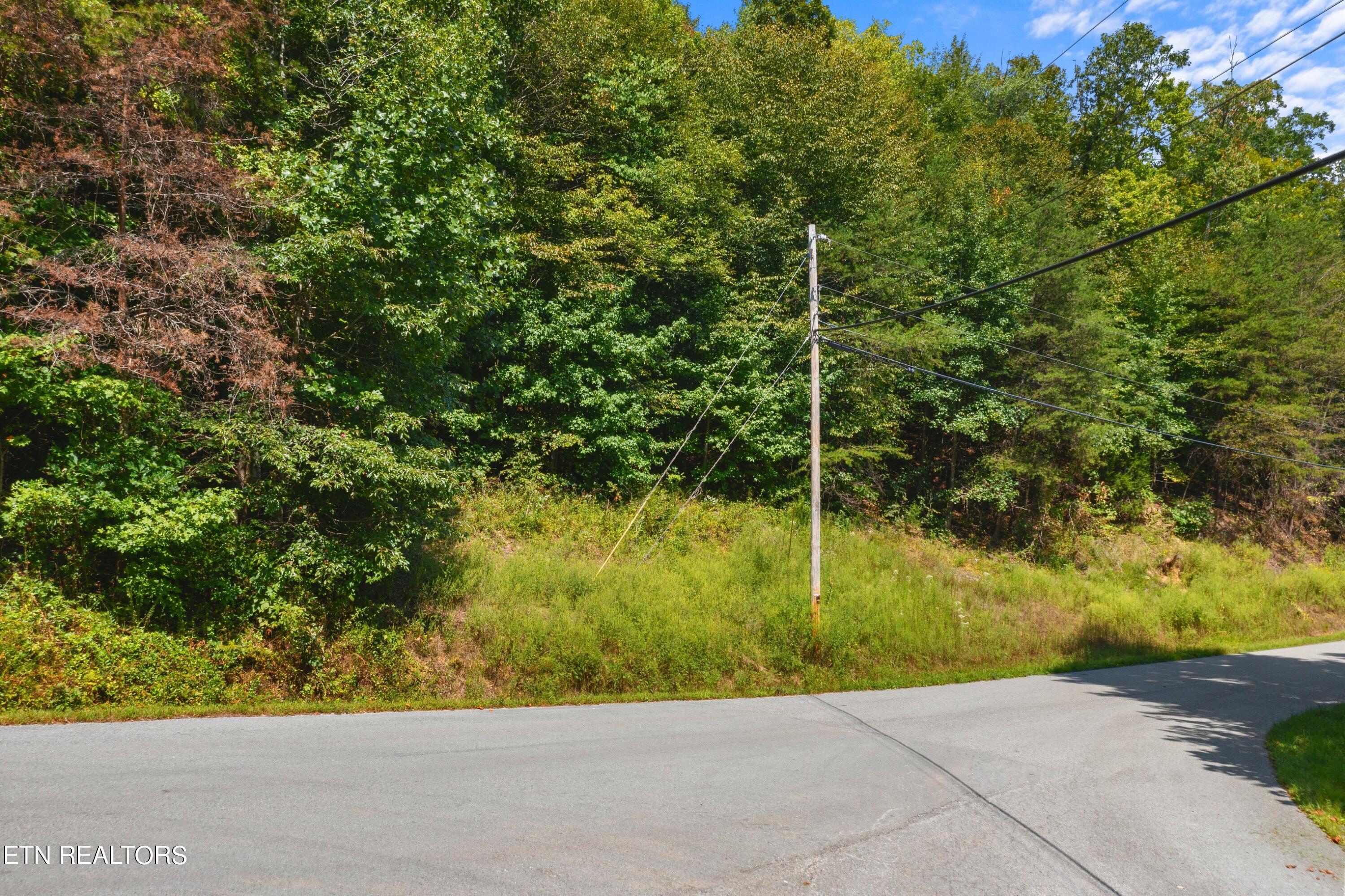 Lot 143 Whistle Valley Road New Tazewell TN 37825