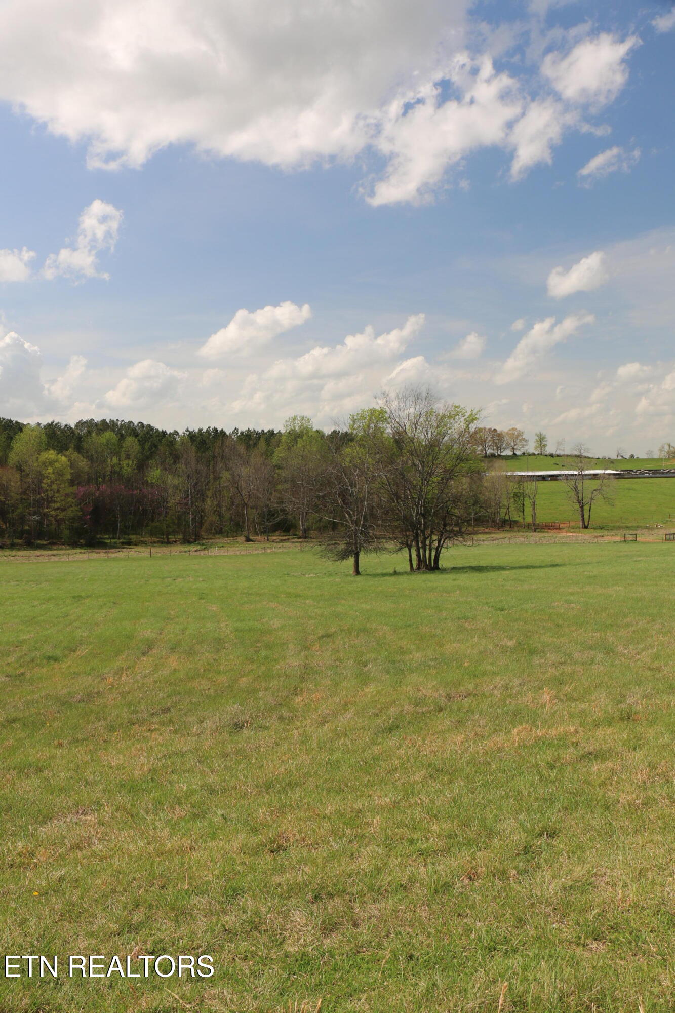 1095 County Road 461 Englewood TN 37329