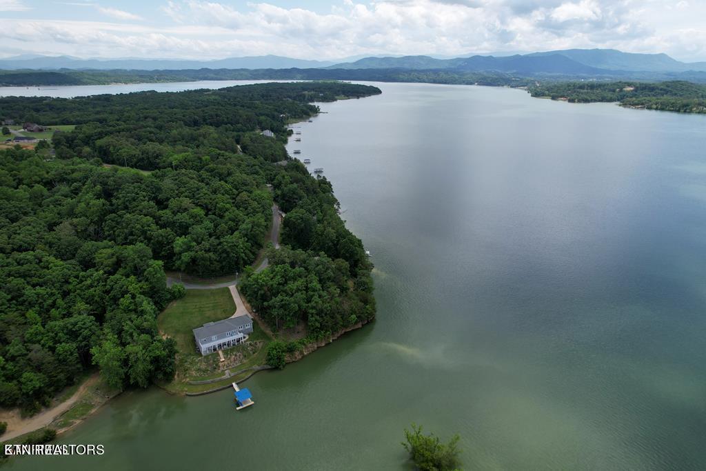 1147 Lakefront Place Baneberry TN 37890