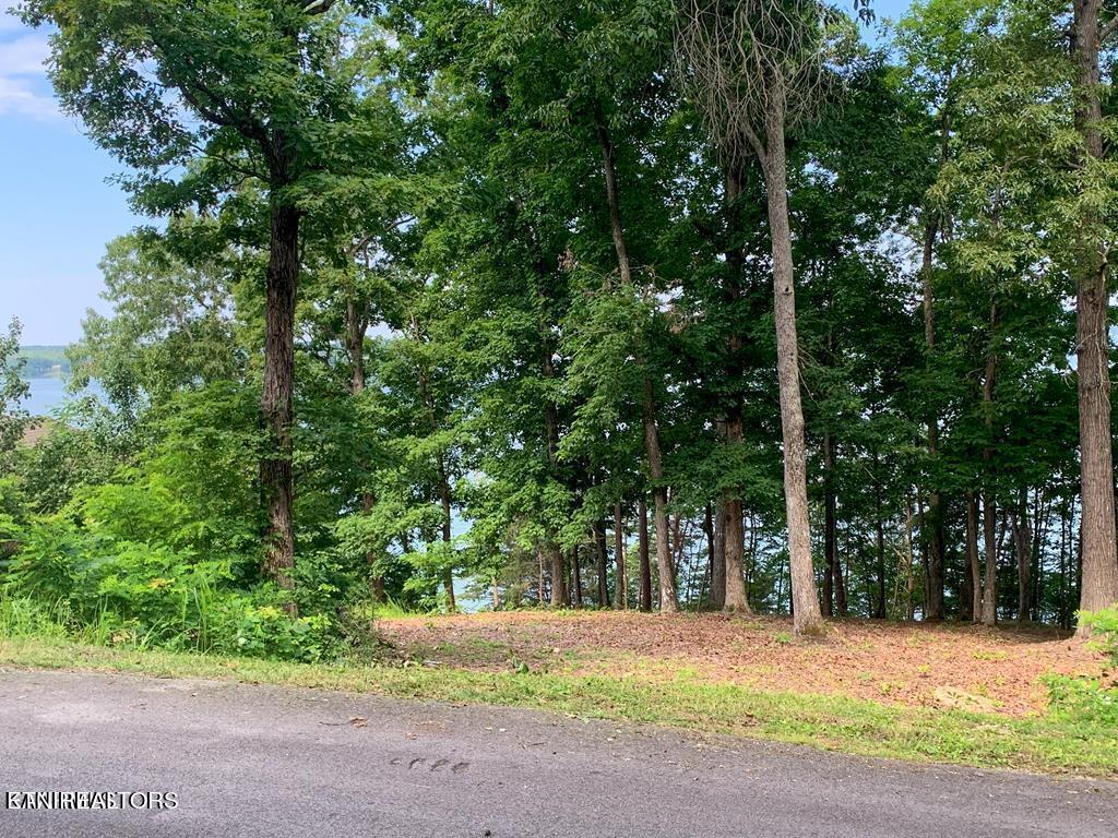 1147 Lakefront Place Baneberry TN 37890