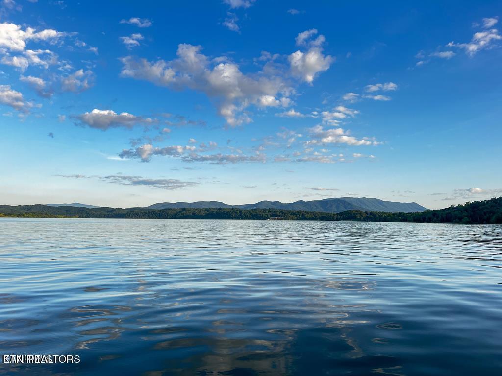 1147 Lakefront Place Baneberry TN 37890