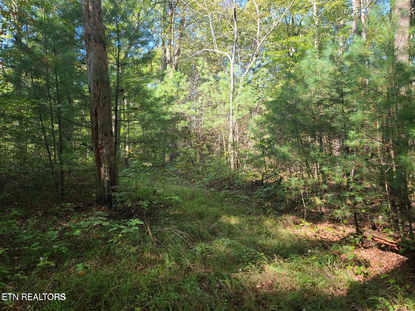 Hannah Davidson Road Sunbright TN 37872