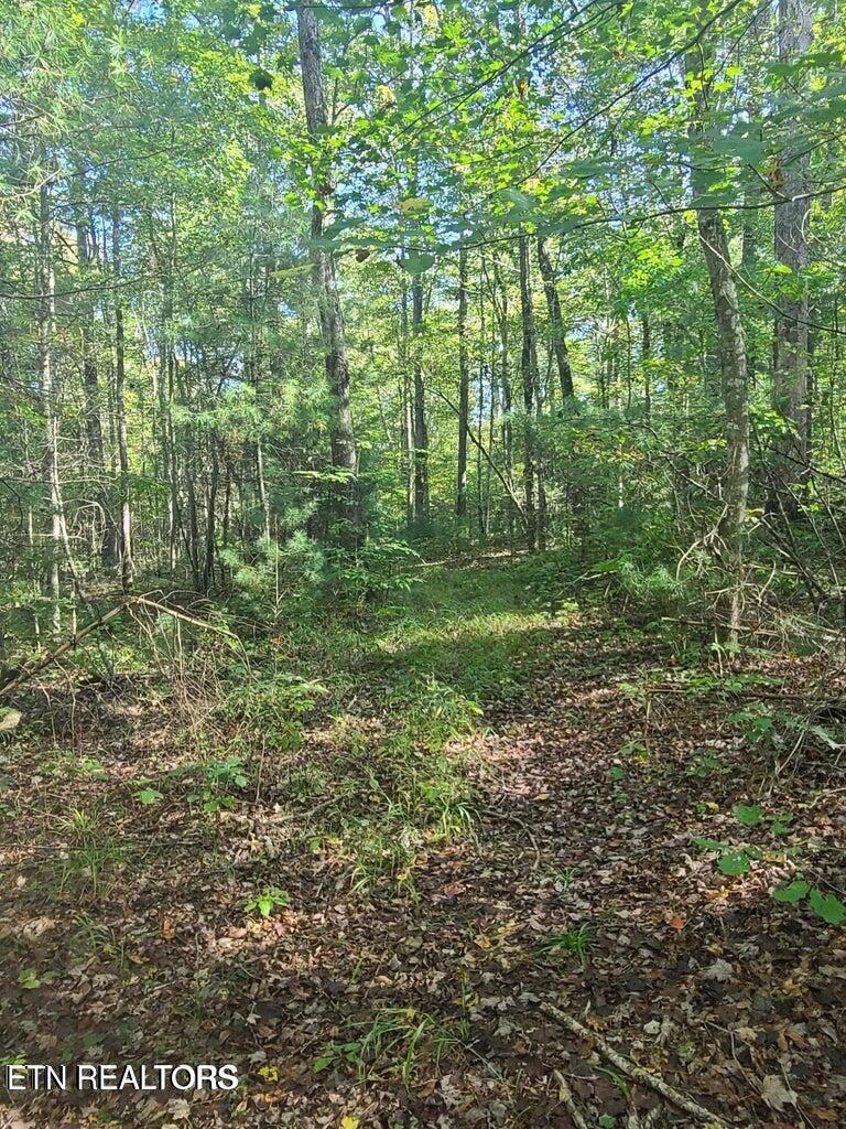 Hannah Davidson Road Sunbright TN 37872
