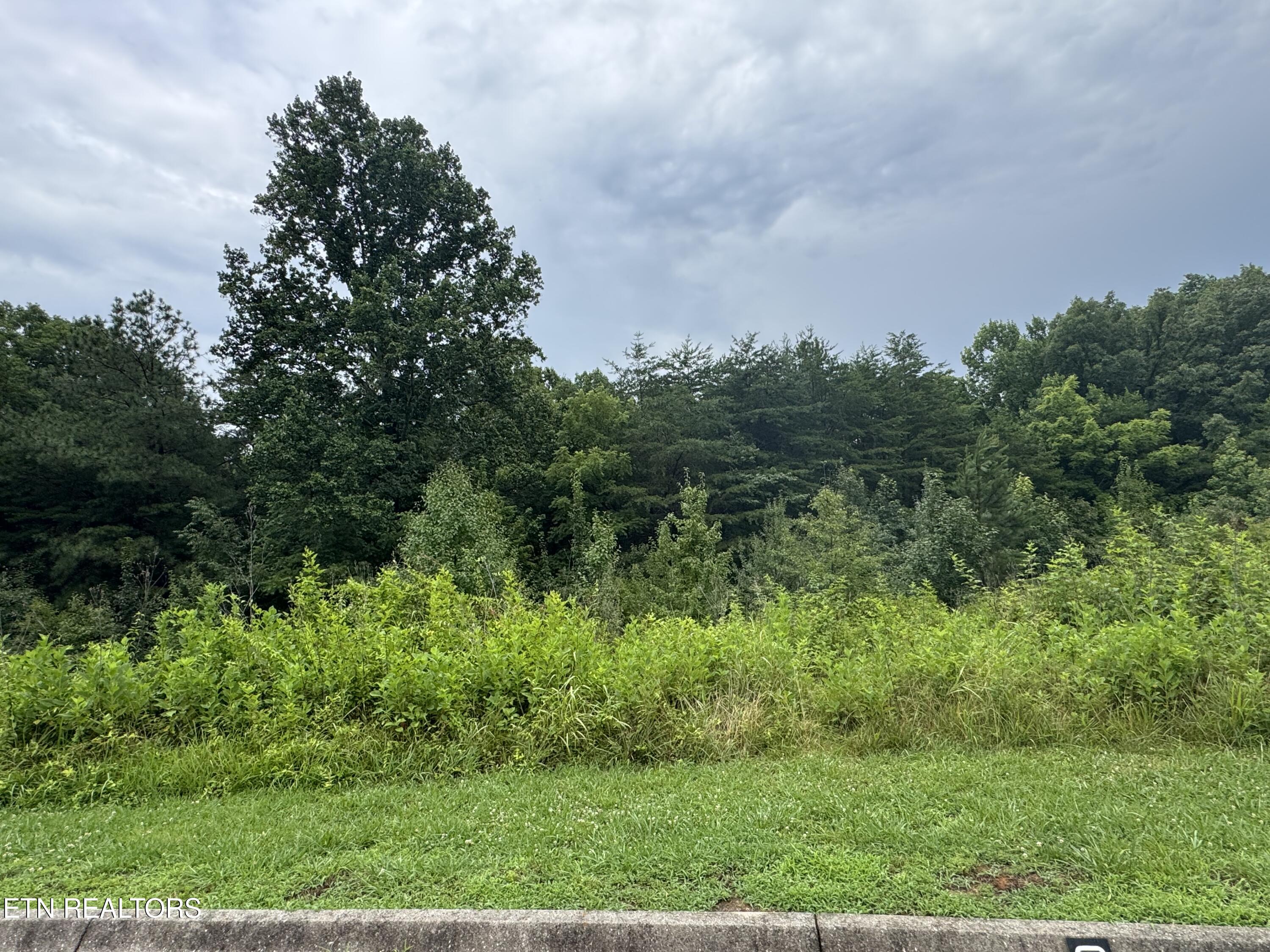 0 Evergreen Cove Lot 4 Street Kingston TN 37763