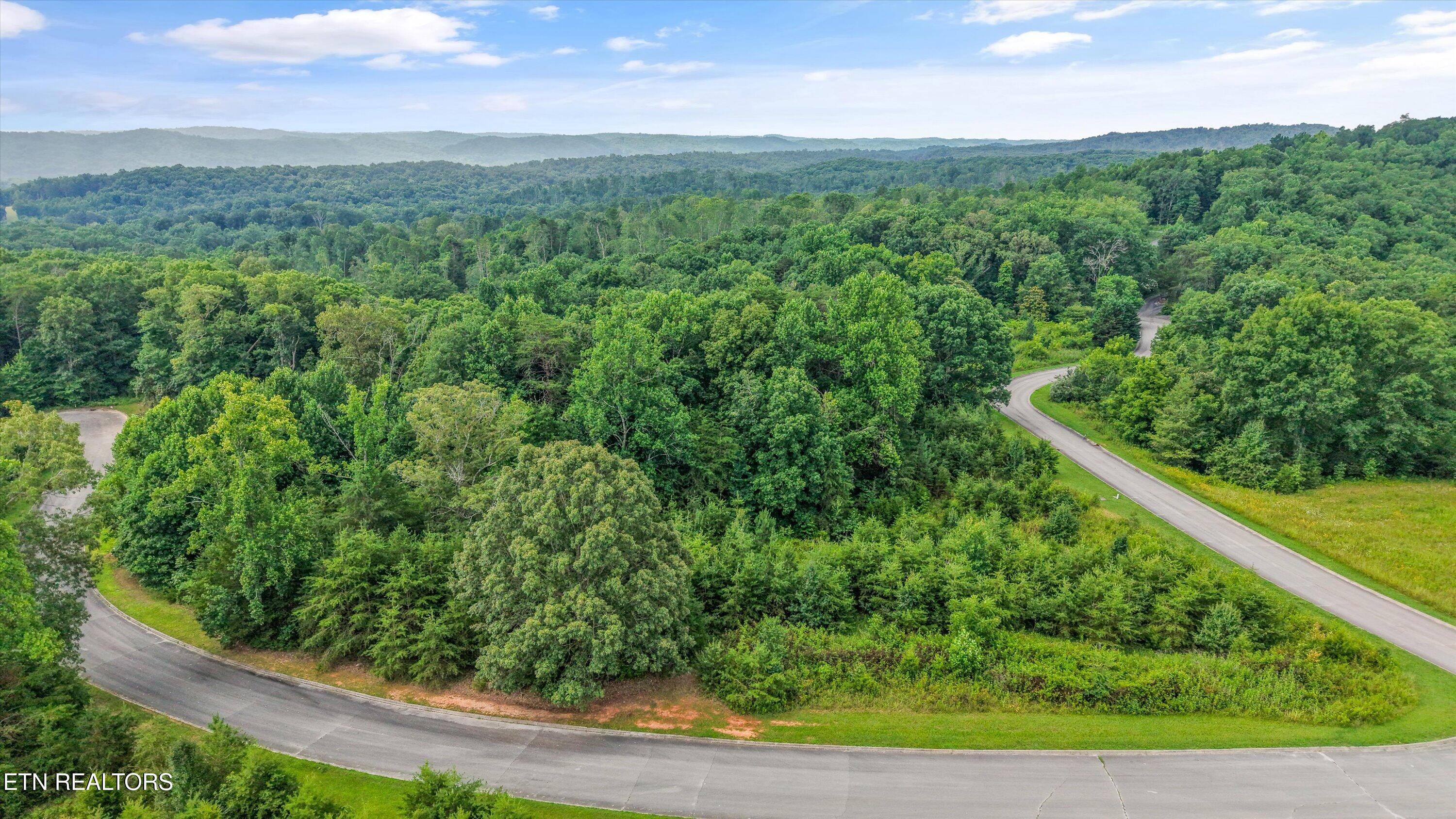 0 Evergreen Cove Lot 4 Street Kingston TN 37763