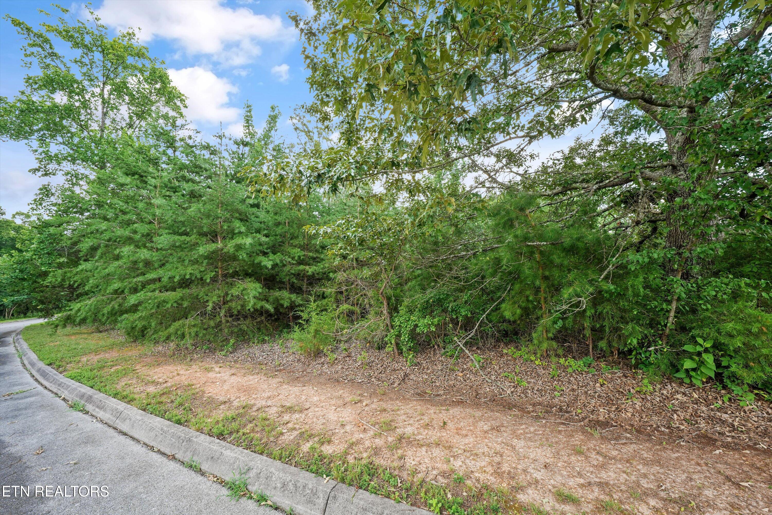 0 Evergreen Cove Lot 4 Street Kingston TN 37763