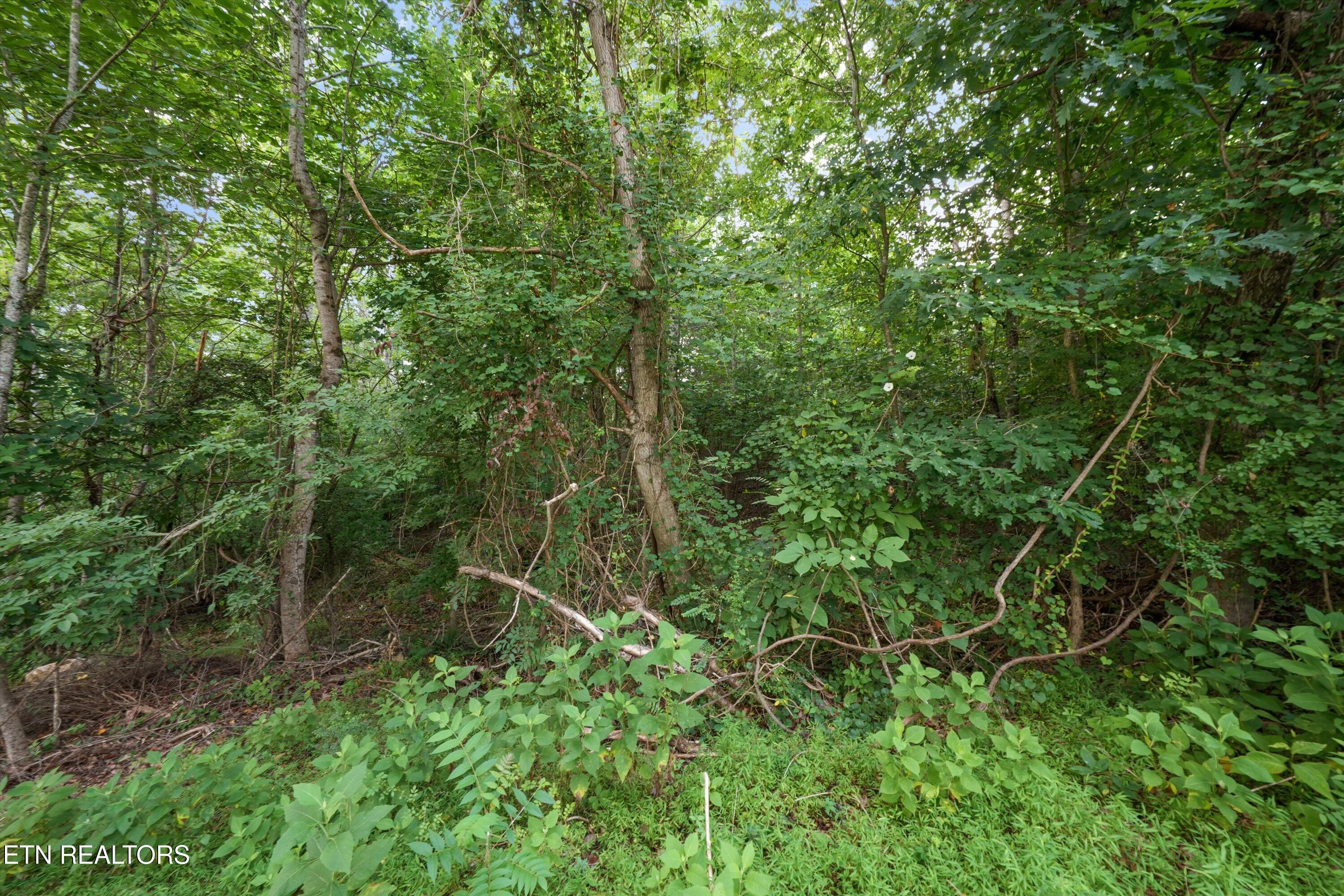 0 Evergreen Cove Lot 4 Street Kingston TN 37763