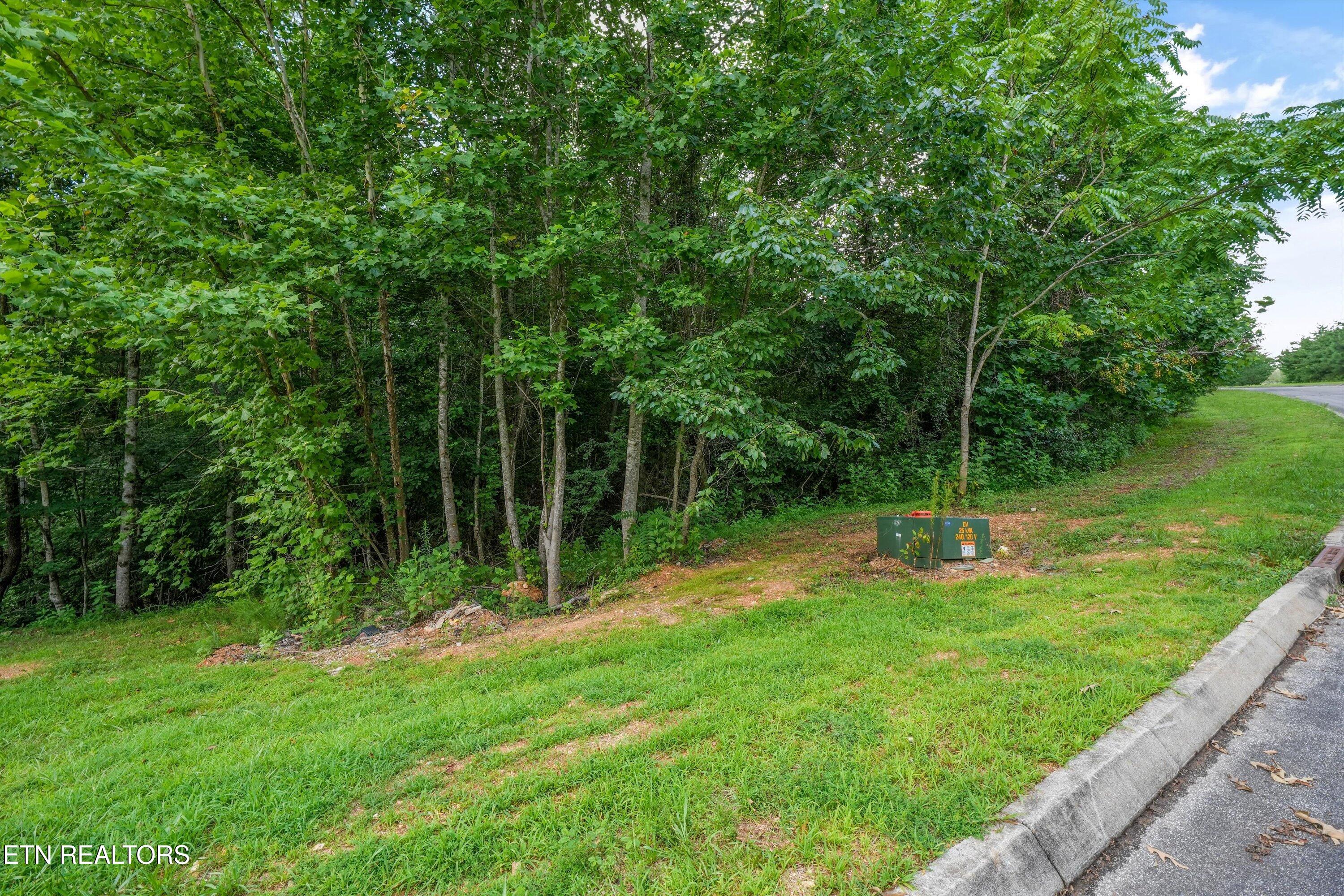 0 Evergreen Cove Lot 4 Street Kingston TN 37763