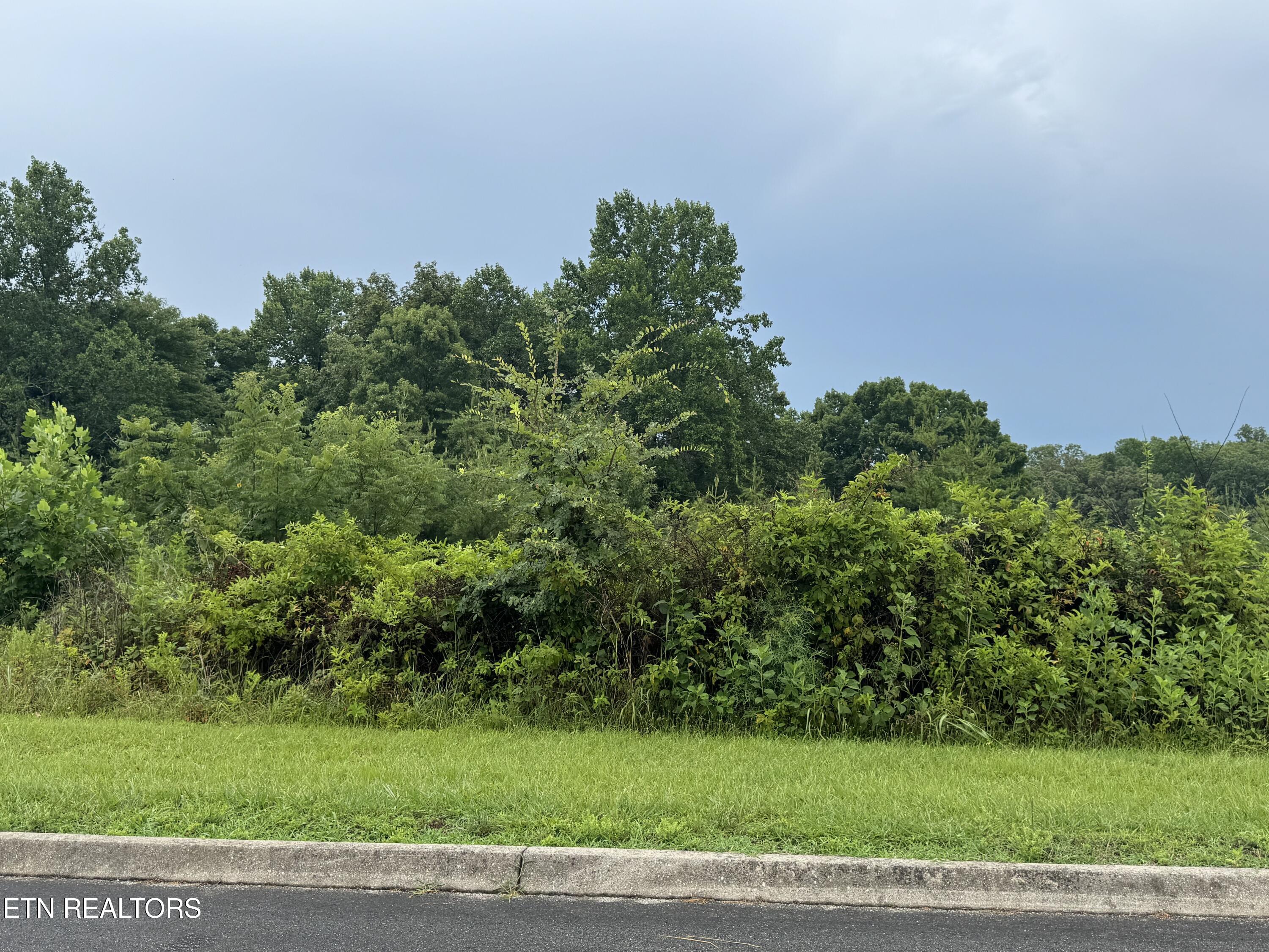 0 Evergreen Cove Lot 4 Street Kingston TN 37763