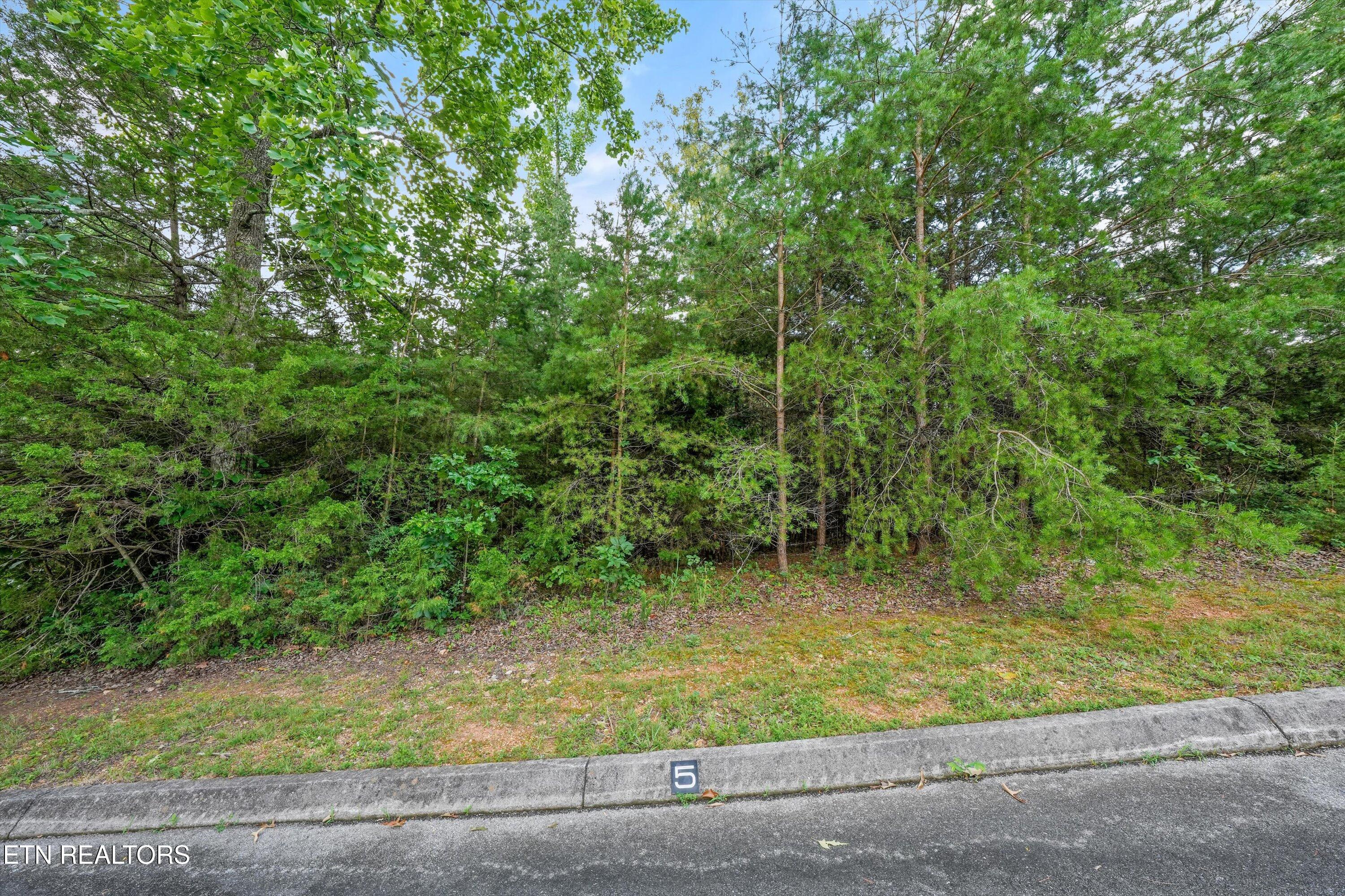 0 Evergreen Cove Lot 4 Street Kingston TN 37763