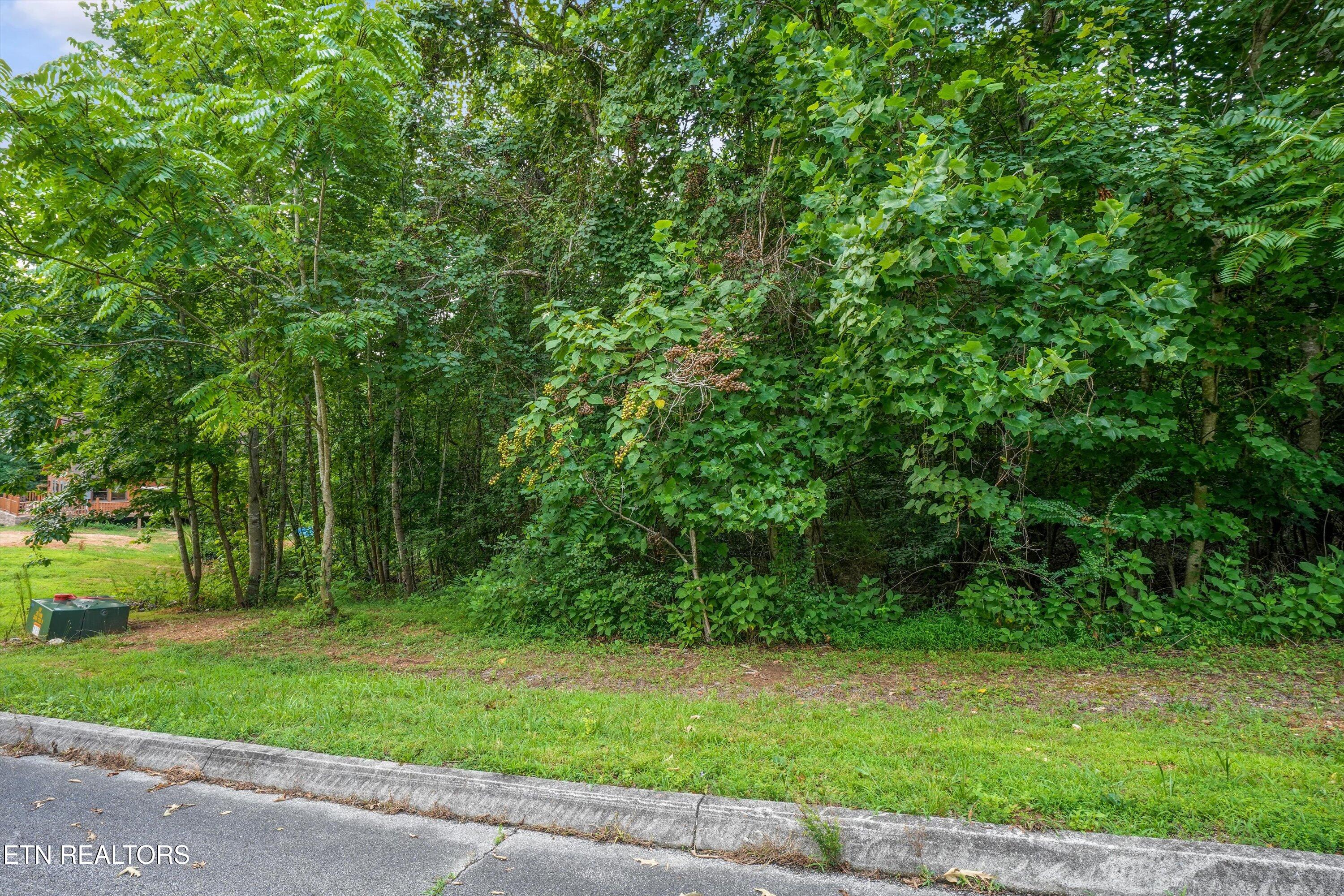 0 Evergreen Cove Lot 4 Street Kingston TN 37763