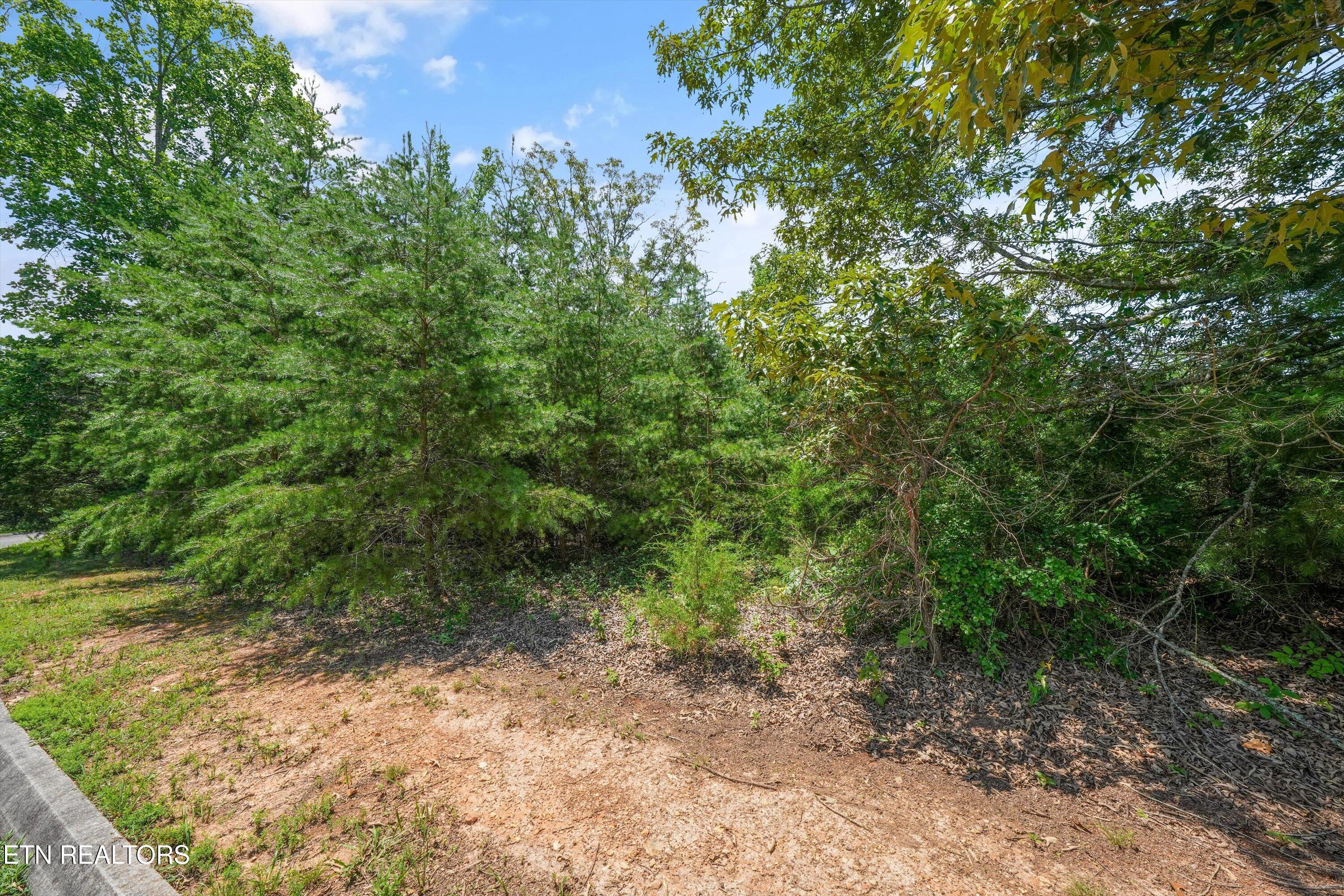 0 Evergreen Cove Lot 4 Street Kingston TN 37763