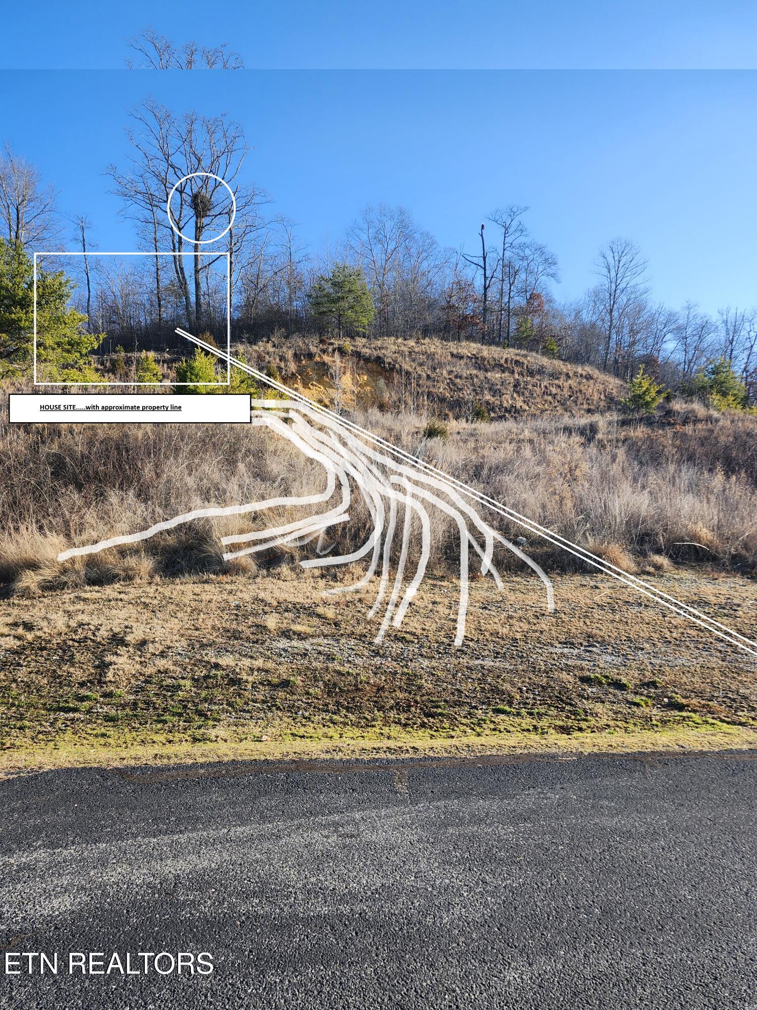 Lot 396 W Mountain Drive Rockwood TN 37854