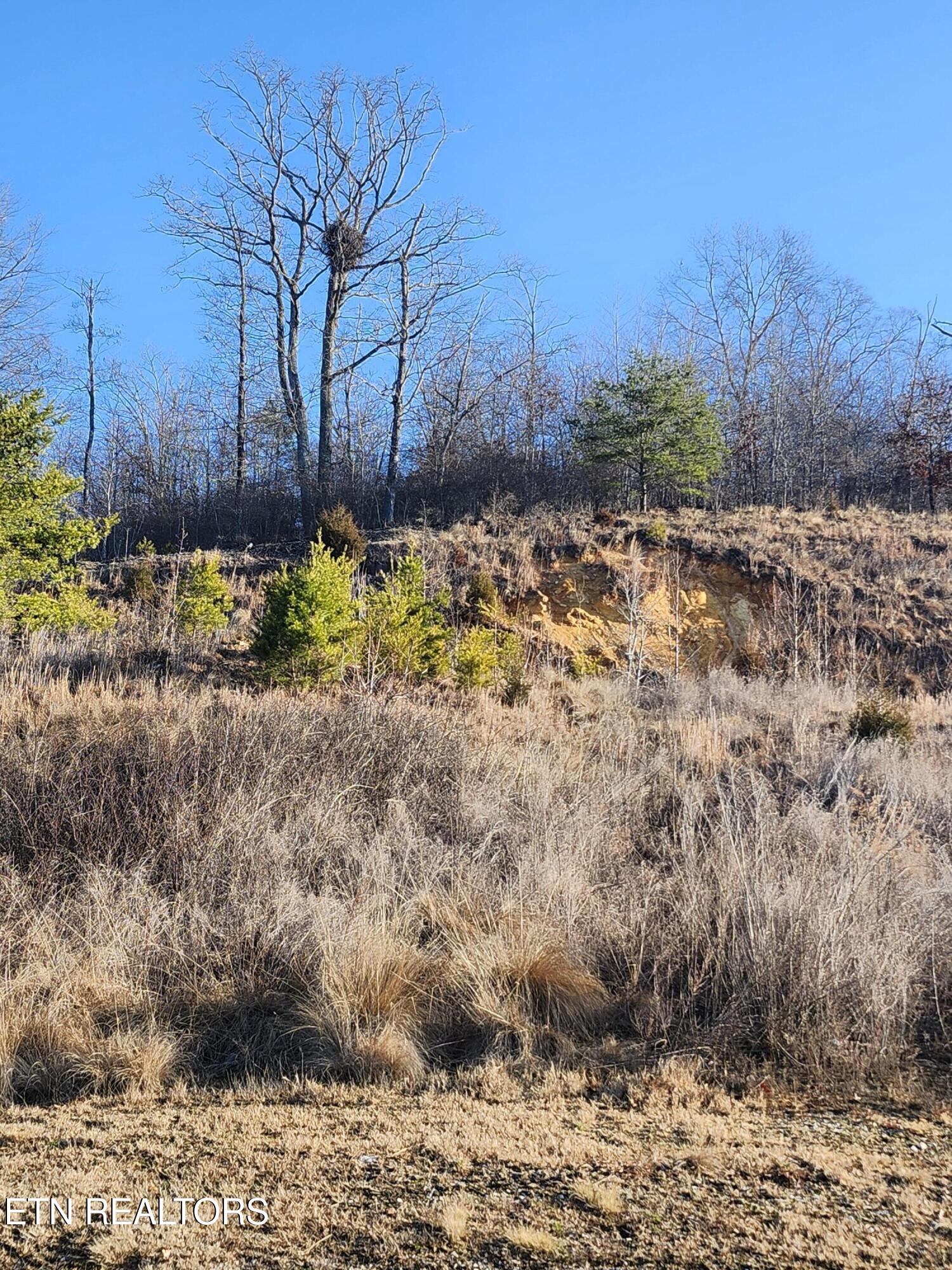Lot 396 W Mountain Drive Rockwood TN 37854