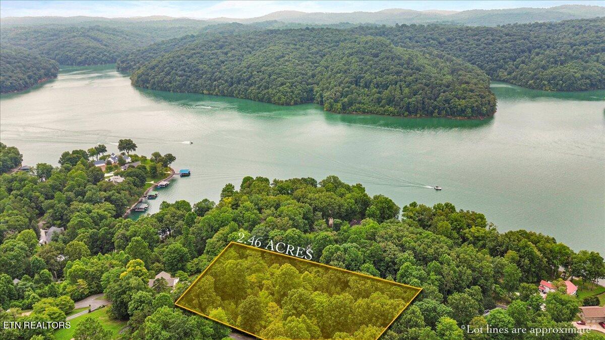 46, 47, 48 Bucks And Doe Lane Lafollette TN 37766
