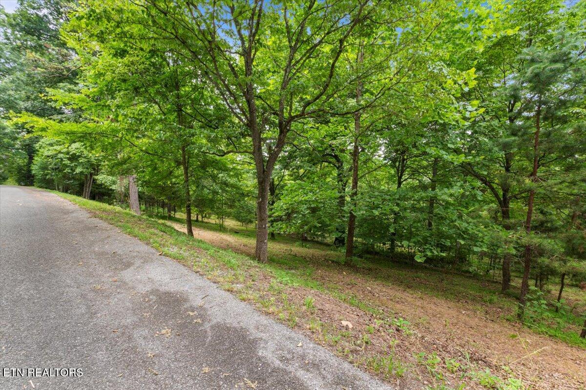 46, 47, 48 Bucks And Doe Lane Lafollette TN 37766