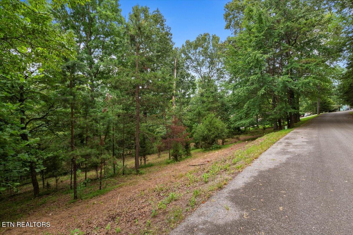 46, 47, 48 Bucks And Doe Lane Lafollette TN 37766