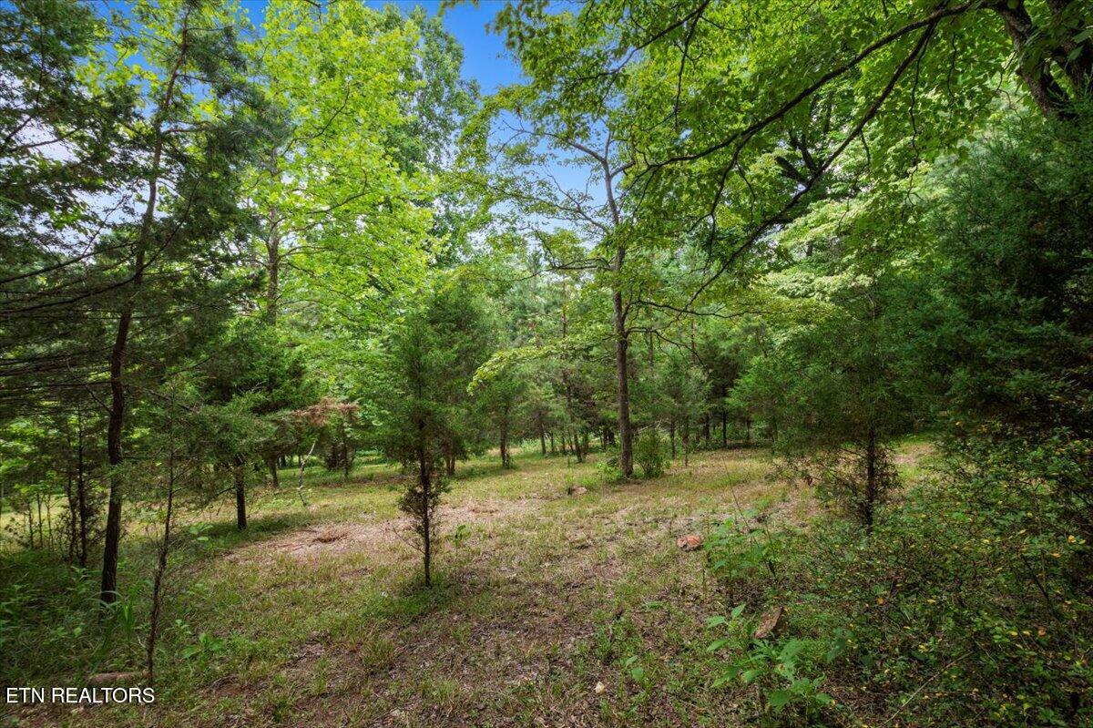 46, 47, 48 Bucks And Doe Lane Lafollette TN 37766