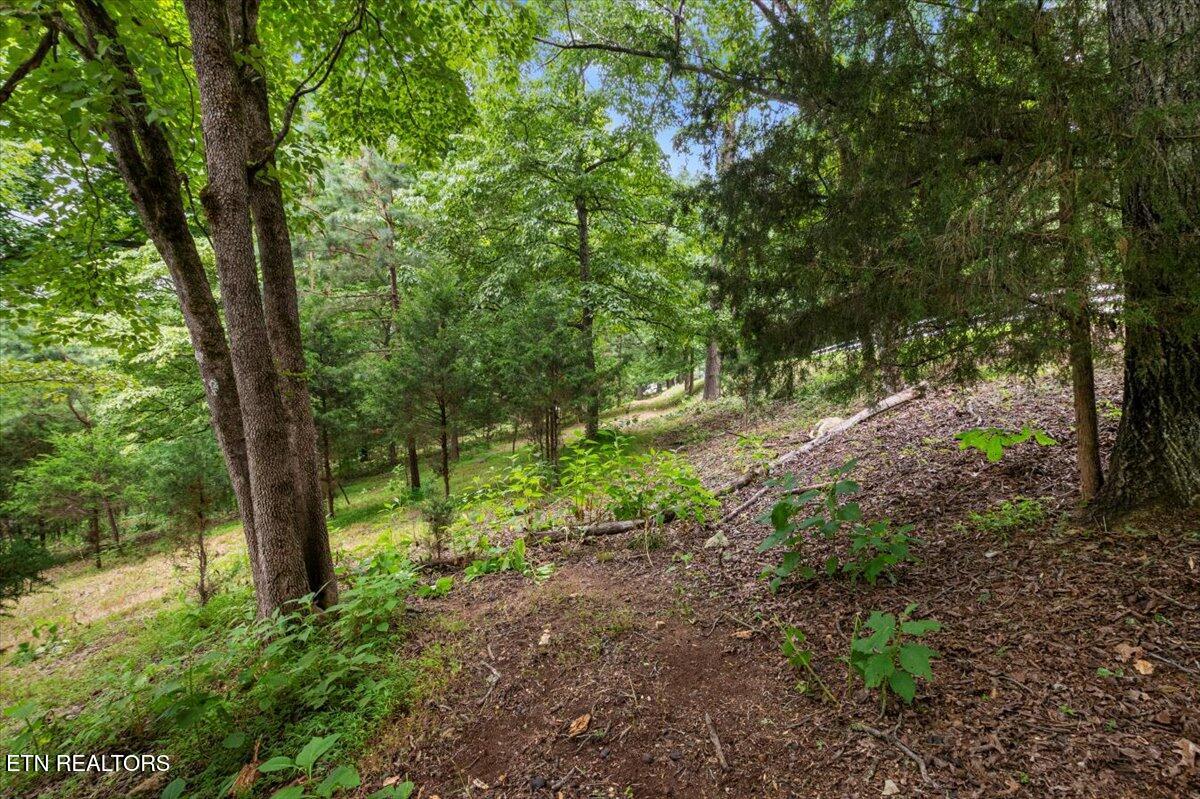 46, 47, 48 Bucks And Doe Lane Lafollette TN 37766