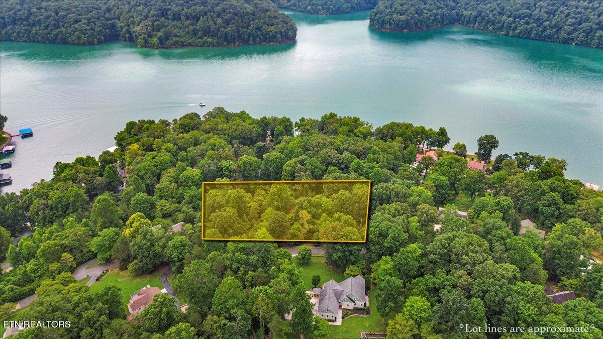 46, 47, 48 Bucks And Doe Lane Lafollette TN 37766