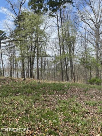 Lot 429 Mayflower Lane Dandridge TN 37725