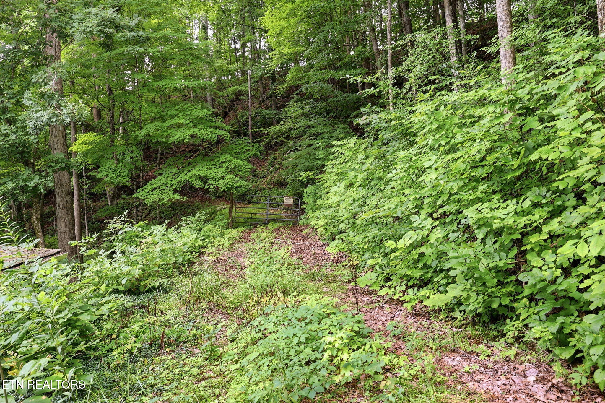 Edwards Road Maynardville TN 37807