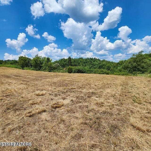 Lot 38 Windward Boulevard Tazewell TN 37879