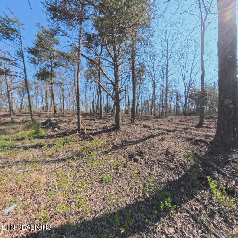 Claysville Road Lot 4 Road Crossville TN 38571