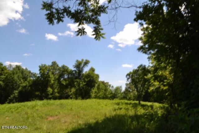 2390 Pea Ridge Fire Tower Road Celina TN 38551