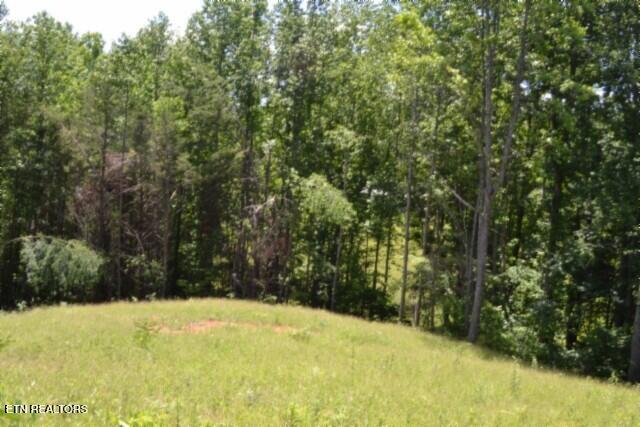 2390 Pea Ridge Fire Tower Road Celina TN 38551