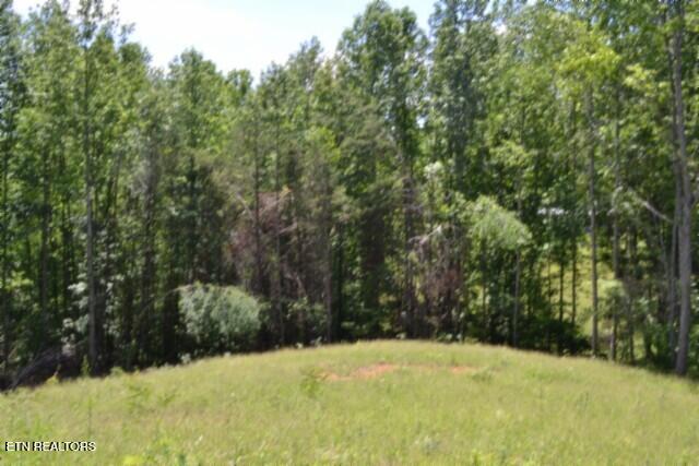 2390 Pea Ridge Fire Tower Road Celina TN 38551