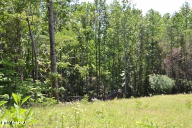 2390 Pea Ridge Fire Tower Road Celina TN 38551