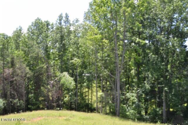 2390 Pea Ridge Fire Tower Road Celina TN 38551