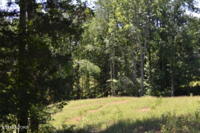 2390 Pea Ridge Fire Tower Road Celina TN 38551