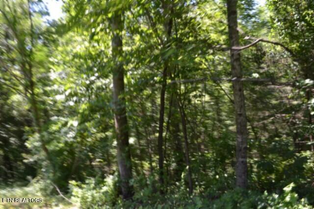 2390 Pea Ridge Fire Tower Road Celina TN 38551